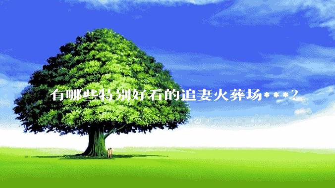 有哪些特别好看的追妻火葬场***？