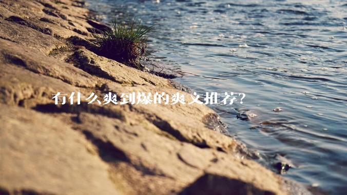 有什么爽到爆的爽文推荐？