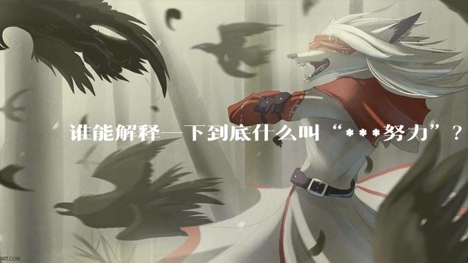 谁能解释一下到底什么叫“***努力”？
