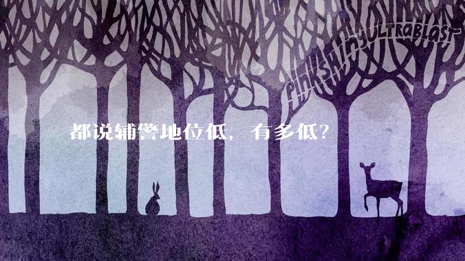 都说辅警地位低，有多低？