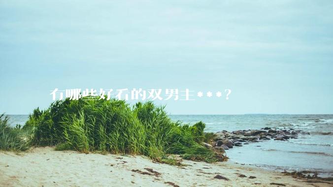有哪些好看的双男主***？