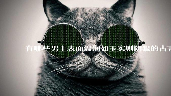 有哪些男主表面温润如玉实则阴狠的古言？