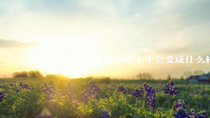一瓶没开封的矿泉水放十年会变成什么样子？